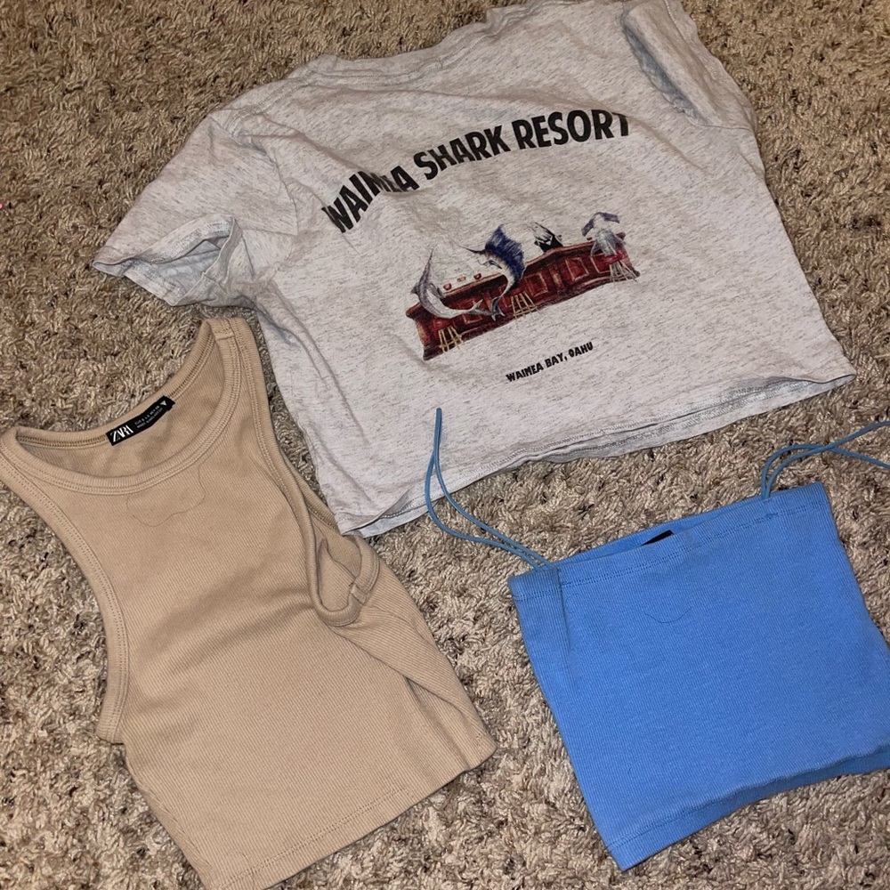 Zara and Brandy Melville shirt pack